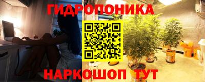 стаф Обнинск
