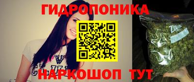 стаф Обнинск