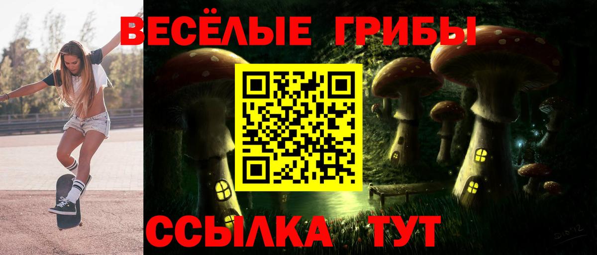 Сосновый Бор  Галлюциногенные грибы Cubensis  Вход с VPN 