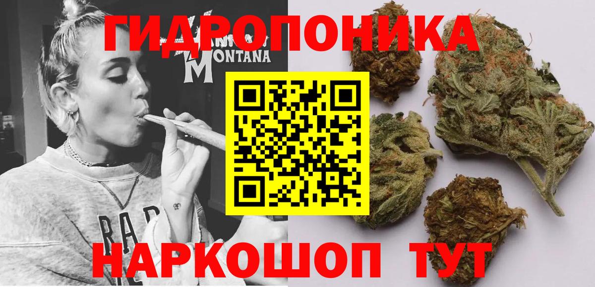 МАРИХУАНА SATIVA & INDICA  Вход с VPN  Бошки марихуана SATIVA & INDICA  Сосновый Бор  МАРИХУАНА семена  Марихуана марихуана 